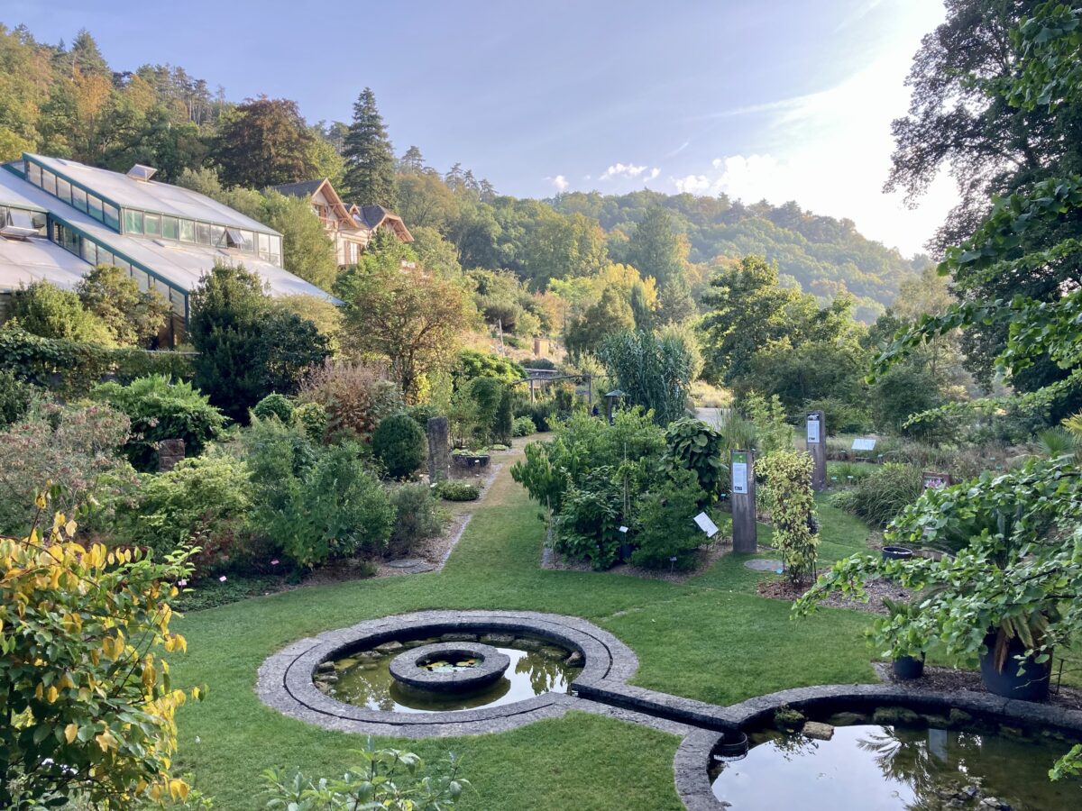 Photo du jardin botanique de Neuchâtel